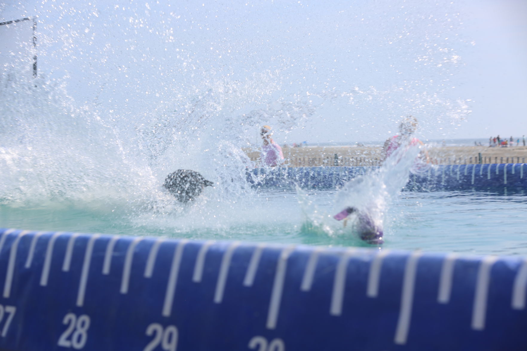 090919_gal_dockdogsWW (64)